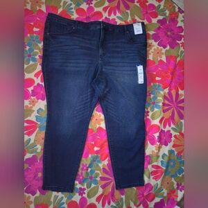 26W Terra & Sky Women's Deep Indigo Skinny Jeans